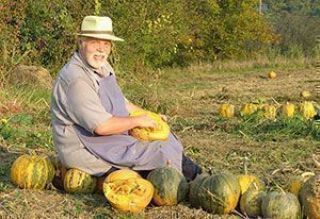 From field to bottle - pushing pumpkins together