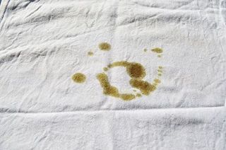 Remove pumpkin seed oil stains
