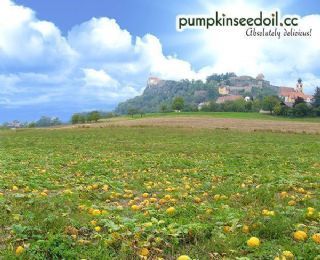 Welcome at Pumpkin Seed Oil's Country!