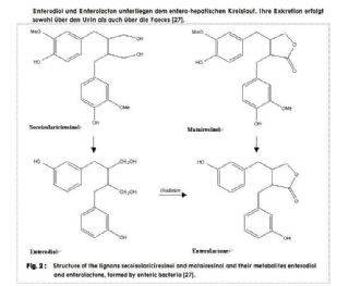 Screenshot Pharmacological effects of pumpkin seeds and pumpkin seed oil